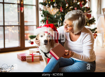 Bella donna anziana seduta sul pavimento di fronte all'albero di Natale con il suo cane che indossa il cappello rosso di Babbo Natale che si accosta. Foto Stock