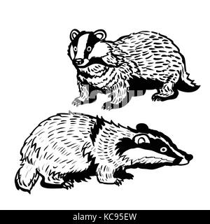 Disegno a mano di due badgers su sfondo bianco in bianco e nero linea semplice illustrazione vettoriale per libro da colorare - linea tracciata vettore Illustrazione Vettoriale