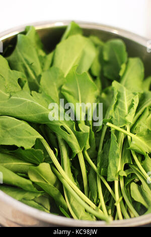 Il verde delle foglie di rucola in una ciotola in argento Foto Stock