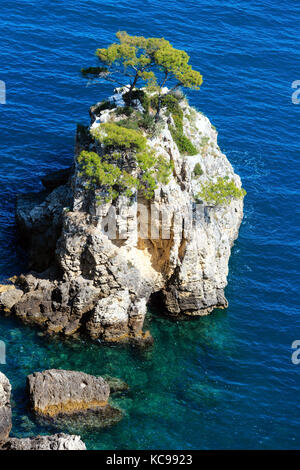 Roccia vicino a Spiaggia Cala di porto greco sul Gargano in Puglia, Italia. estate calma bella vista dalla torre dell'aglio. Foto Stock