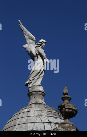 BUENOS AIRES, ARGENTINA, 22 DICEMBRE 2013 : Angelo nel cimitero di Recoleta. Il cimitero di Recoleta è stato inserito tra i 10 cimiteri più belli Foto Stock