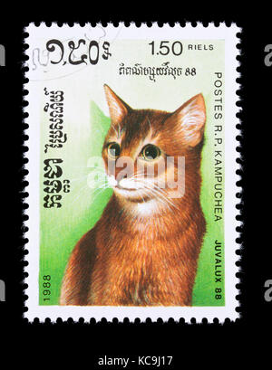 Francobollo dalla Cambogia Kampuchea () raffigurante un housecat. Foto Stock