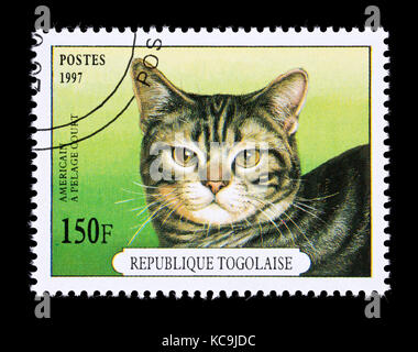 Francobollo dal Togo raffigurante un American shorthair cat. Foto Stock