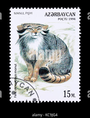 Francobollo da Azerbaigian raffigurante una Pallas's Cat (Otocolobus manul) Foto Stock