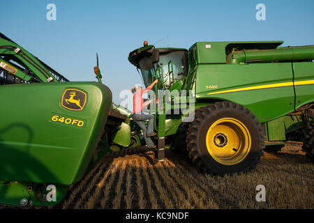 Un giovane agricoltore femmina si arrampica in un JOHN DEERE per le mietitrebbie precedenti per la mietitura del frumento sulla famiglia agriturismo vicino a Breckenridge, NORTH DAKOTA Foto Stock