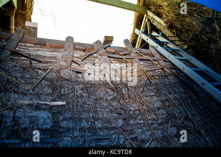 Riparazione e ri-ricoprendo di paglia del tetto presso il pub dell'aratro, Church street, West hanney, wantage, oxfordshire, Regno Unito Foto Stock