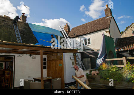 Riparazione e ri-ricoprendo di paglia del tetto presso il pub dell'aratro, Church street, West hanney, wantage, oxfordshire, Regno Unito Foto Stock