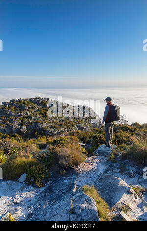 L'uomo sul vertice di Table Mountain e Cape town, Western Cape, Sud Africa (MR) Foto Stock