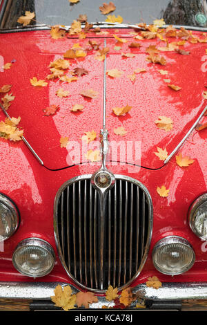 1964 contrassegno rosso 2 Jaguar a Bicester Heritage Centre. Oxfordshire, Inghilterra Foto Stock