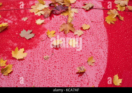 1964 contrassegno rosso 2 Jaguar auto cofano con caduto foglie di autunno a Bicester Heritage Centre. Oxfordshire, Inghilterra Foto Stock