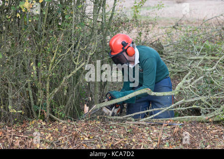 L'uomo hedge che stabilisce a uno spettacolo agricolo. Lechlade, Gloucestershire, Cotswolds, REGNO UNITO Foto Stock