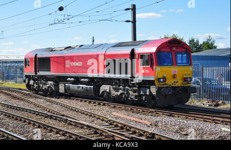 Db schenker classe 66 vi attende accanto a dovere Ely, Cambridgeshire, England, Regno Unito Foto Stock