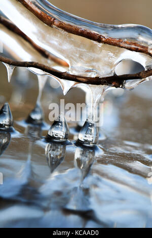 Gocce di ghiaccio di close-up Foto Stock