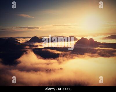 Spelato nebbia colorati. Foresta estate dopo forti notte piovosa. treetops è aumentata dalla nebbia e lo strippaggio di inversione. effetto vividi Foto Stock