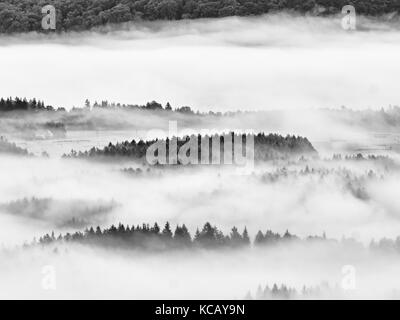 Nebbia pesante nel paesaggio. magnifico autunno cremosa di nebbia in campagna. hill è aumentata dalla presenza di nebbia, la nebbia. foto in bianco e nero. Foto Stock