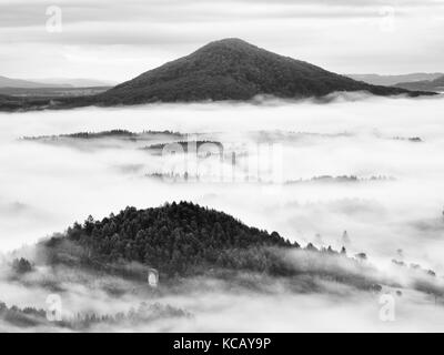 Nebbia pesante nel paesaggio. magnifico autunno cremosa di nebbia in campagna. hill è aumentata dalla presenza di nebbia, la nebbia. foto in bianco e nero. Foto Stock