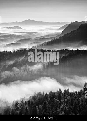 Colorato autunno alba. misty risveglio in una bellissima collina. cime delle colline sono sporgenti da sfondo velato Foto Stock