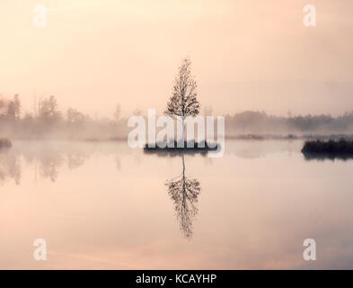 L'isola nel mezzo della montagna l ake. viola mattina tranquilla con livello di acqua nella foresta misteriosa. Foto Stock