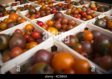 Pomodori ciliegini contenitore individuale agricoltori mercato verdure fresche biologiche Foto Stock