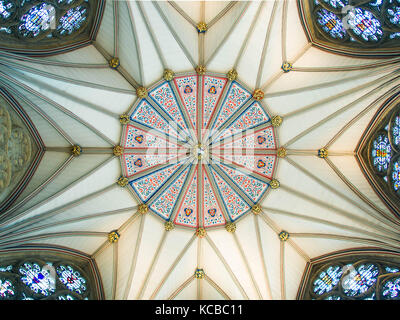 Il vertiginoso aumento di preghiera: Massimale di York Minster Chapter House Foto Stock