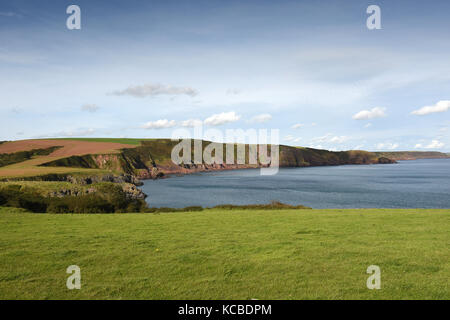 Pembrokeshire Coast Path tra Stackpole Quay e Barafundle Bay in Pembrokeshire, West Wales, Regno Unito Foto Stock