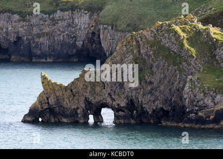 Griffith Lort foro di rocce vicino Barafundle Bay in Pembrokeshire, West Wales, Regno Unito Foto Stock