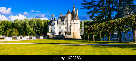 Romantico splendidi castelli della Valle della Loira chenonceau. Francia Foto Stock