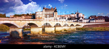 Bella città di Amboise,vista con ponte vecchio e il vecchio castello,della Valle della Loira, Francia. Foto Stock