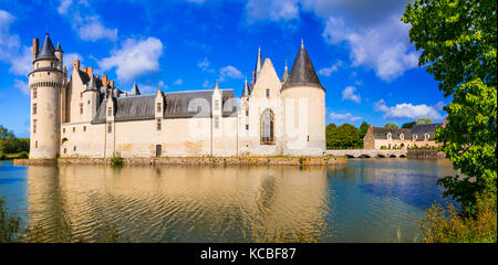 Romantici castelli della Valle della Loira - plessis-bourre. Francia Foto Stock