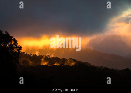 Tramonto a Los Quetzales National Park, giungla, cloud forest, provincia di San José di Costa Rica Foto Stock