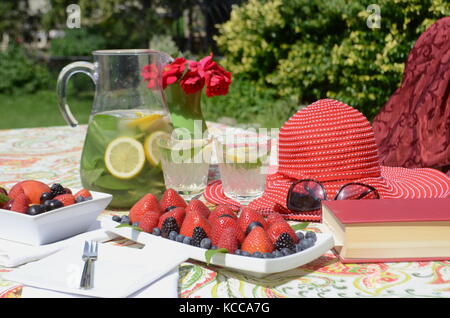 Summer party in giardino, alimentari, frutta e limonata fresca su un bellissimo set table Foto Stock