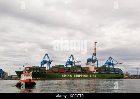 Cina linea di spedizione, il porto navale di Genova, Italia Foto Stock