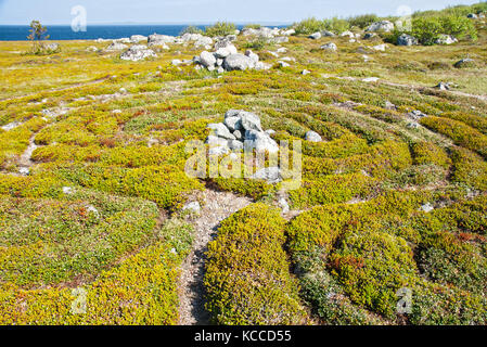 Labirinto di pietra del Bolshoi zayatsky isola, Russia Foto Stock