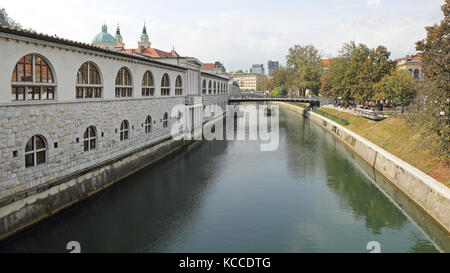 Fiume ljubljanica a Lubiana capitale della Slovenia Foto Stock