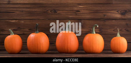 Cinque zucche arancione in una fila sul legno scuro sfondo, concetto di halloween Foto Stock