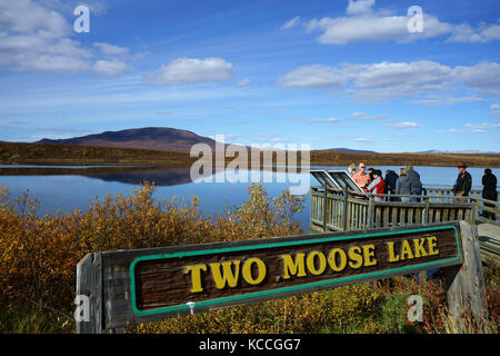 I turisti alla piattaforma di visualizzazione di due alci Lago, Lapide parco territoriale, Yukon, territorio, Canada Foto Stock