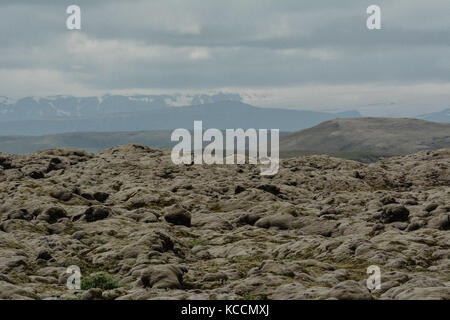 Moss coperto le pietre laviche in Islanda in estate, effetto vintage con grano Foto Stock