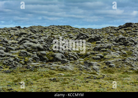 Mossy pietra lavica campo in Islanda su un giorno di estate Foto Stock