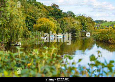 Scena di fiume in autunno con alberi che riflettono in acqua al fiume Arun, Arundel, West Sussex, in Inghilterra, Regno Unito. Foto Stock