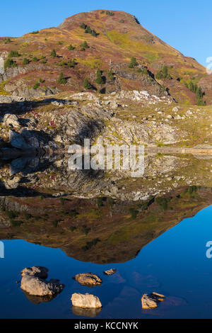 I colori dell'autunno su giallo Aster Butte riflessa in un bacino tarn nel North Cascades, il Monte Baker deserto, Washington, Stati Uniti d'America. Foto Stock