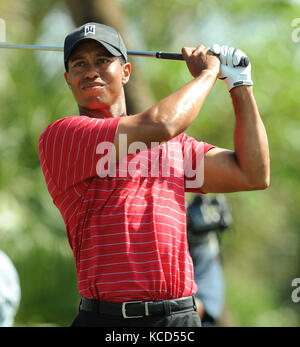 Miami, FL - 29 MAGGIO: Foto di archivio - IL MEGLIO DI TIGER WOODS - fine settimana del giorno commemorativo, Tiger Woods Arrestato su DWI il 29 maggio 2016 a Miami, Florida. Persone: Tiger Woods Transmission Ref: Mnc Credit: Hoo-Me.com/Mediapunch Foto Stock