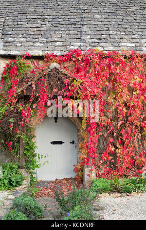 Parthenocissus quinquefolia.Virginia superriduttore / American ivy a copertura di un muro di casa. Kineton, Cotswolds, Gloucestershire, Inghilterra Foto Stock