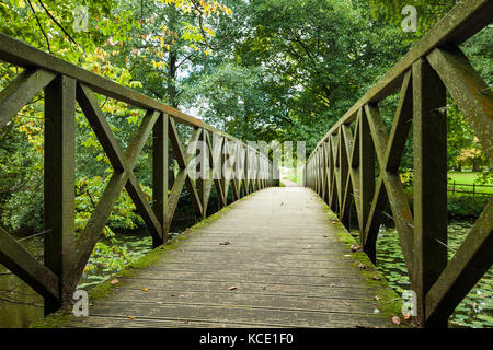 Ponte su uno stagno su Chiddingstone Castle motivi nel Kent, Inghilterra. Foto Stock