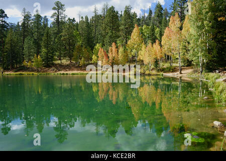 Aspen Mirror Lake, Dixie National Forest, Utah, USAS Foto Stock