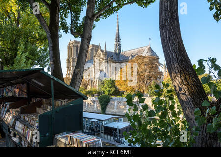 Tre quarti di vista posteriore della cattedrale di Notre Dame de Paris cathedral e il Fiume Senna dalla soleggiata una sera all'inizio di caduta con ristorante barca e prenota Foto Stock