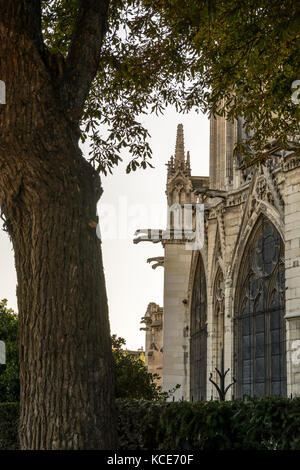 Vista di dettaglio dei contrafforti, pinnacoli e doccioni del coro della cattedrale di Notre Dame de Paris cathedral al tramonto. Foto Stock