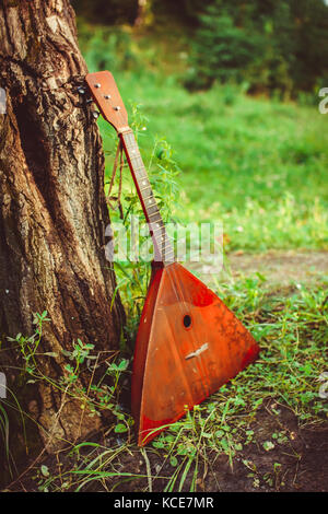 La balalaika è nella foresta vicino la struttura ad albero Foto Stock