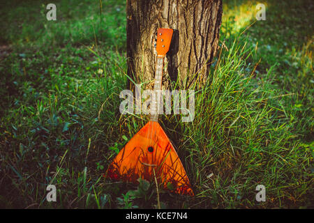 La balalaika è nella foresta vicino la struttura ad albero Foto Stock