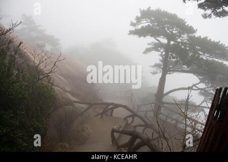 La nebbia, un nebbioso giorno Rainny. La pietra dei gradini ripidi . Trekking Escursioni a piedi in montagna Huangshan. Anhui, Cina. 13th,aprile 2009 Foto Stock