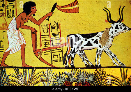 Affresco raffigurante una scena agricoli da un antica tomba egizia. Datata xiii secolo A.C. Foto Stock